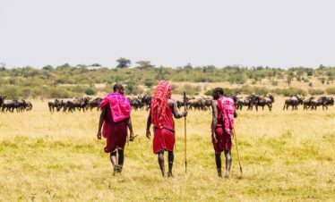 The Jewel of Kenya: Your Unforgettable 7-Day Safari Through Masai Mara, Lake Nakuru, Lake Naivasha & Amboseli!